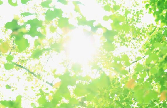 浴室の汚れが気になる方はハウスコーティング新潟へお任せください